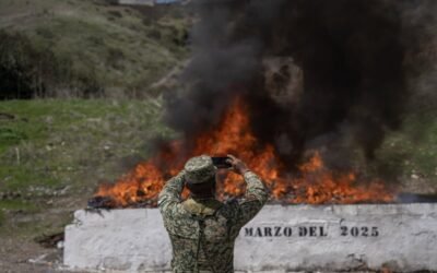 Destituyen a 10 funcionarios mexicanos por cambiar cocaína incautada por leche en polvo